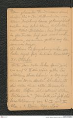 Seite 36, Tagebuch Willendorf 1908/1913 (NHMW-PRAE-BBB-02)